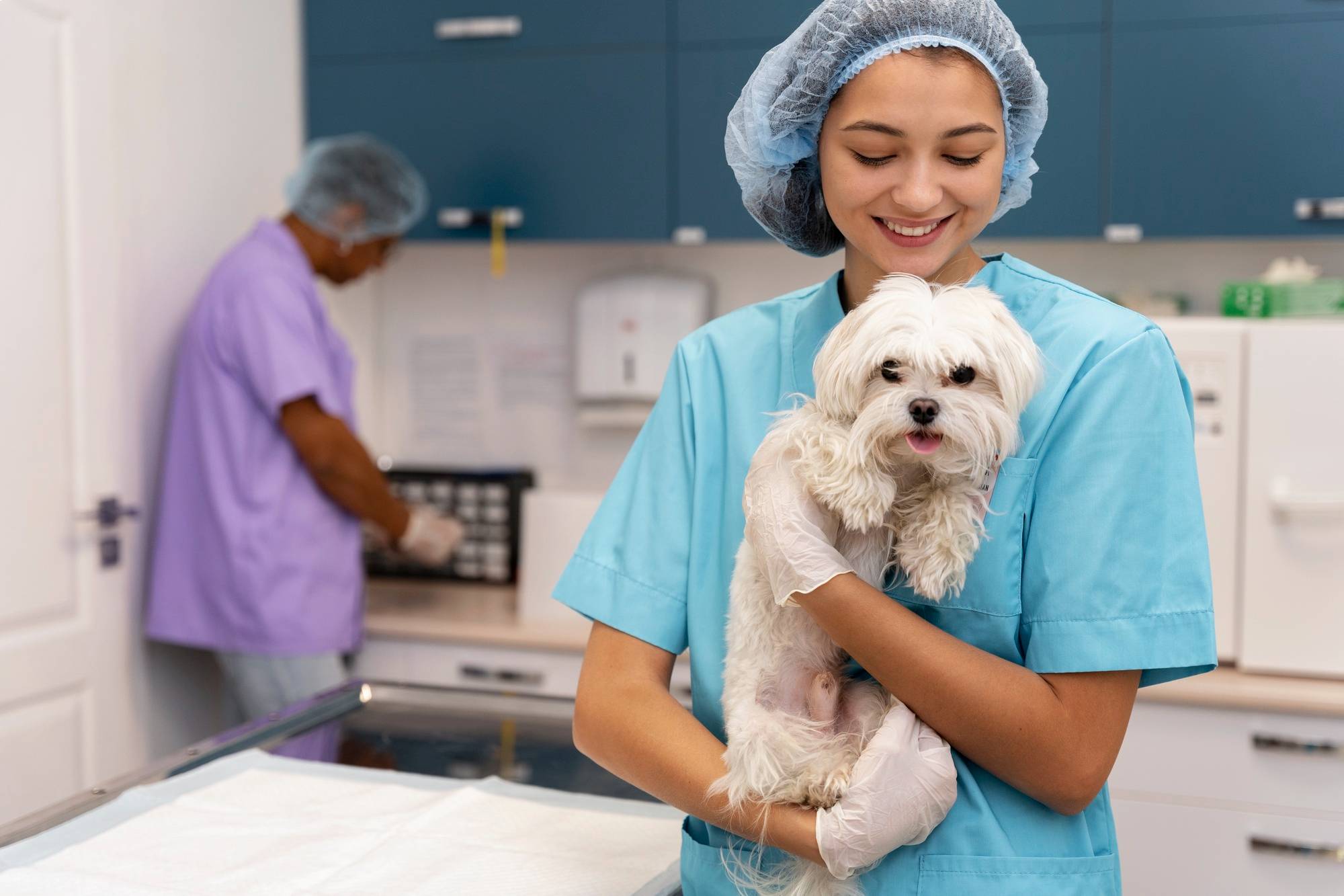 Viața în clinică - Pets Care Veterinary Clinic Webflow Template