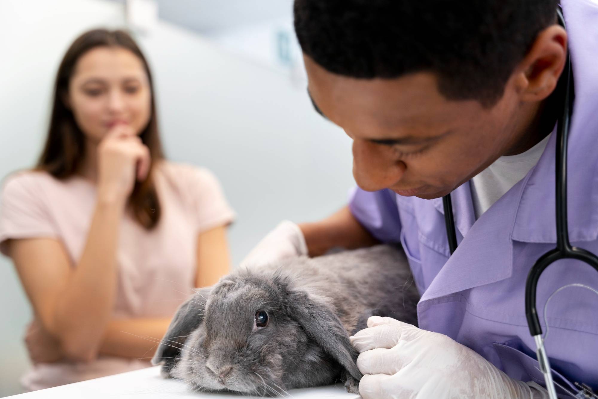 Viața în clinică - Pets Care Veterinary Clinic Webflow Template